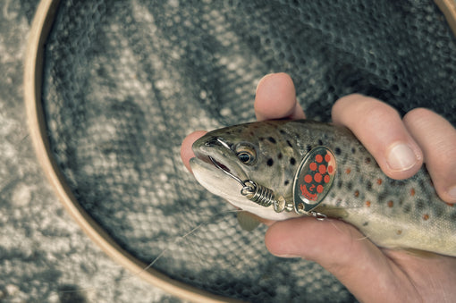 Grauvell - Official fishing store